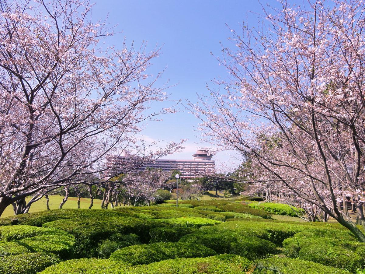 Ibusuki Iwasaki Hotel Exteriér fotografie